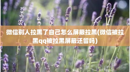 微信别人拉黑了自己怎么屏蔽拉黑(微信被拉黑qq被拉黑屏蔽还留吗)