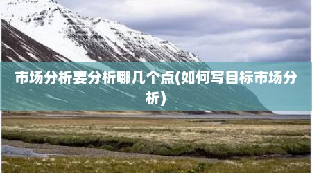 市场分析要分析哪几个点(如何写目标市场分析)