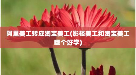 阿里美工转成淘宝美工(影楼美工和淘宝美工哪个好学)
