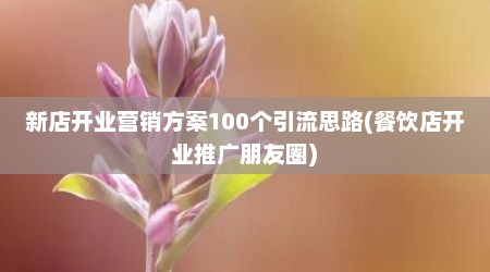 新店开业营销方案100个引流思路(餐饮店开业推广朋友圈)
