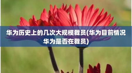 华为历史上的几次大规模裁员(华为目前情况华为是否在裁员)