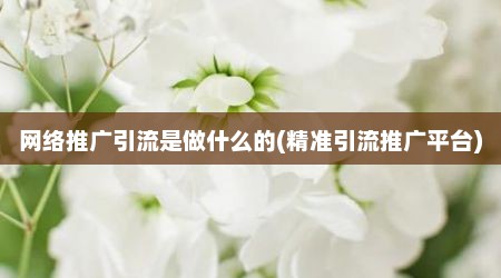 网络推广引流是做什么的(精准引流推广平台)