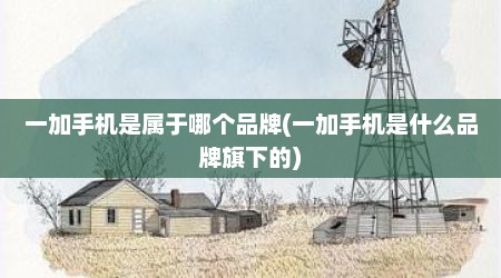 一加手机是属于哪个品牌(一加手机是什么品牌旗下的)