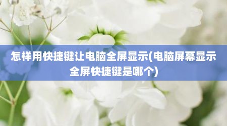 怎样用快捷键让电脑全屏显示(电脑屏幕显示全屏快捷键是哪个)