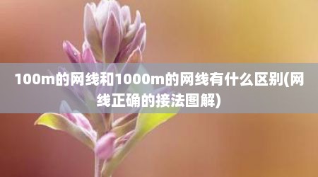 100m的网线和1000m的网线有什么区别(网线正确的接法图解)