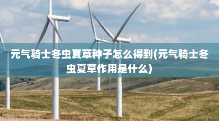 元气骑士冬虫夏草种子怎么得到(元气骑士冬虫夏草作用是什么)