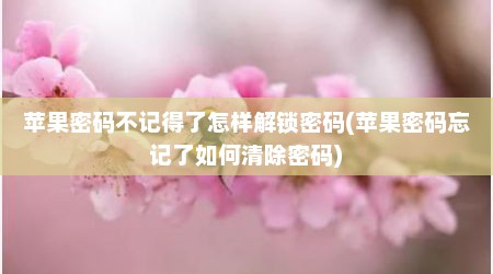 苹果密码不记得了怎样解锁密码(苹果密码忘记了如何清除密码)