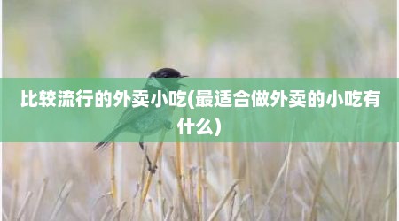 比较流行的外卖小吃(最适合做外卖的小吃有什么)
