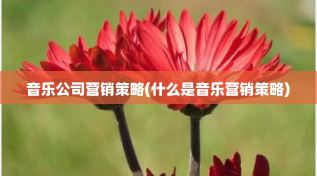 音乐公司营销策略(什么是音乐营销策略)