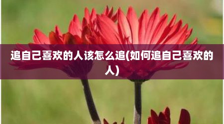 追自己喜欢的人该怎么追(如何追自己喜欢的人)