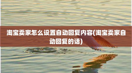 淘宝卖家怎么设置自动回复内容(淘宝卖家自动回复的话)