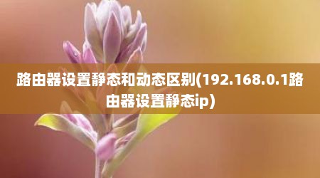 路由器设置静态和动态区别(192.168.0.1路由器设置静态ip)