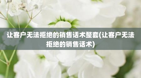让客户无法拒绝的销售话术整套(让客户无法拒绝的销售话术)