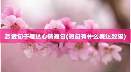 恋爱句子表达心情短句(短句有什么表达效果)
