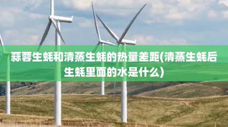 蒜蓉生蚝和清蒸生蚝的热量差距(清蒸生蚝后生蚝里面的水是什么)