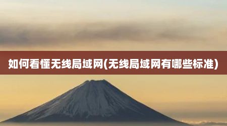 如何看懂无线局域网(无线局域网有哪些标准)