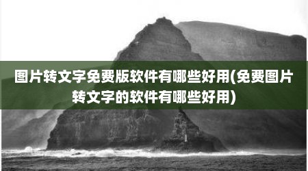 图片转文字免费版软件有哪些好用(免费图片转文字的软件有哪些好用)