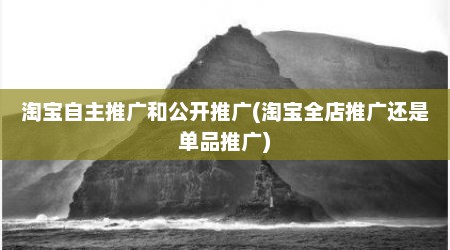 淘宝自主推广和公开推广(淘宝全店推广还是单品推广)
