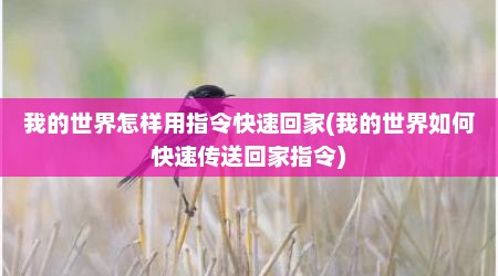 我的世界怎样用指令快速回家(我的世界如何快速传送回家指令)