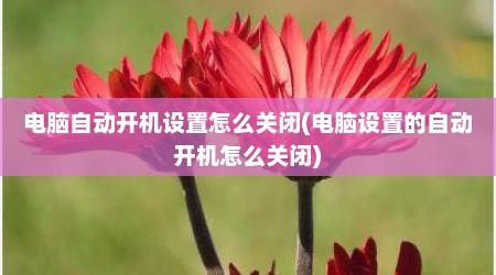 电脑自动开机设置怎么关闭(电脑设置的自动开机怎么关闭)