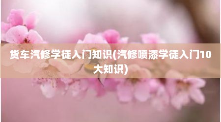 货车汽修学徒入门知识(汽修喷漆学徒入门10大知识)