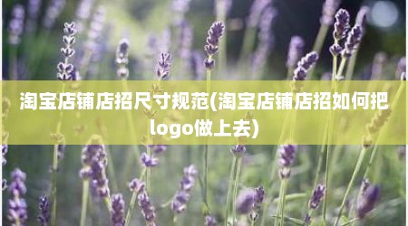 淘宝店铺店招尺寸规范(淘宝店铺店招如何把logo做上去)