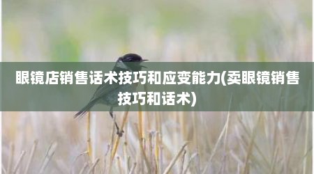 眼镜店销售话术技巧和应变能力(卖眼镜销售技巧和话术)