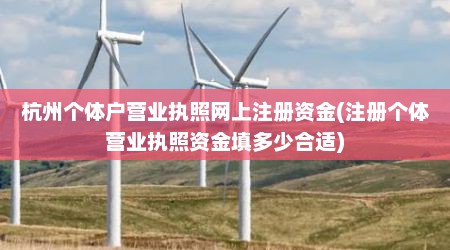 杭州个体户营业执照网上注册资金(注册个体营业执照资金填多少合适)