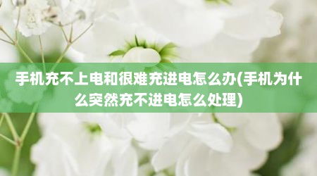 手机充不上电和很难充进电怎么办(手机为什么突然充不进电怎么处理)