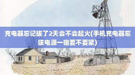 充电器忘记拔了2天会不会起火(手机充电器忘拔电源一宿要不要紧)
