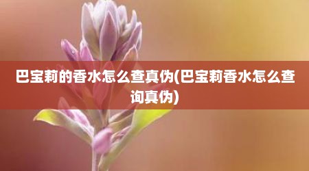 巴宝莉的香水怎么查真伪(巴宝莉香水怎么查询真伪)