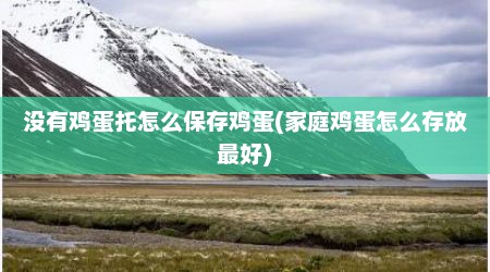 没有鸡蛋托怎么保存鸡蛋(家庭鸡蛋怎么存放最好)