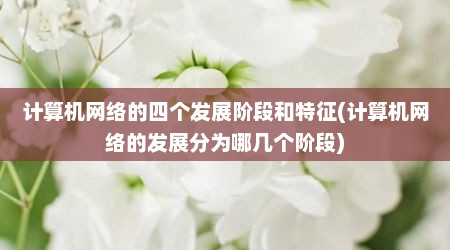 计算机网络的四个发展阶段和特征(计算机网络的发展分为哪几个阶段)