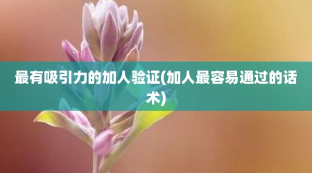 最有吸引力的加人验证(加人最容易通过的话术)