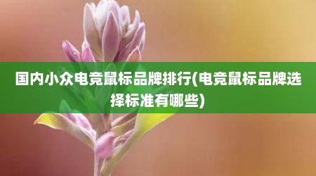 国内小众电竞鼠标品牌排行(电竞鼠标品牌选择标准有哪些)