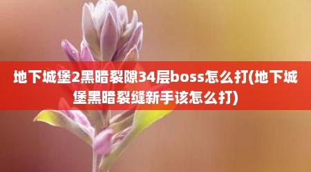 地下城堡2黑暗裂隙34层boss怎么打(地下城堡黑暗裂缝新手该怎么打)
