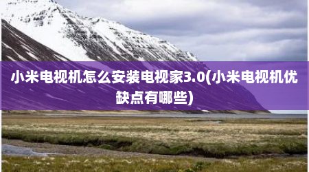小米电视机怎么安装电视家3.0(小米电视机优缺点有哪些)