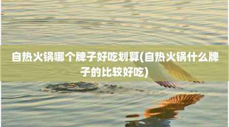 自热火锅哪个牌子好吃划算(自热火锅什么牌子的比较好吃)