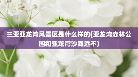 三亚亚龙湾风景区是什么样的(亚龙湾森林公园和亚龙湾沙滩远不)