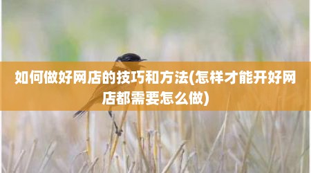 如何做好网店的技巧和方法(怎样才能开好网店都需要怎么做)