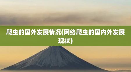 爬虫的国外发展情况(网络爬虫的国内外发展现状)