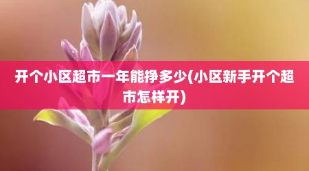 开个小区超市一年能挣多少(小区新手开个超市怎样开)