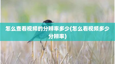 怎么查看视频的分辨率多少(怎么看视频多少分辨率)