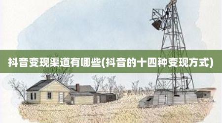 抖音变现渠道有哪些(抖音的十四种变现方式)