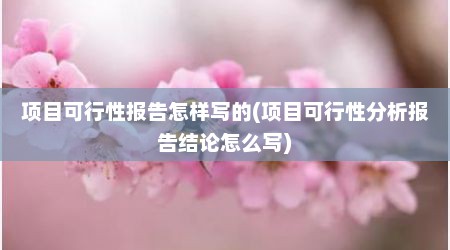 项目可行性报告怎样写的(项目可行性分析报告结论怎么写)