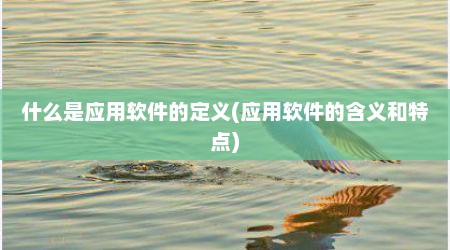 什么是应用软件的定义(应用软件的含义和特点)