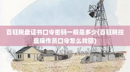 百旺税盘证书口令密码一般是多少(百旺税控盘操作员口令怎么找回)