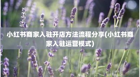 小红书商家入驻开店方法流程分享(小红书商家入驻运营模式)