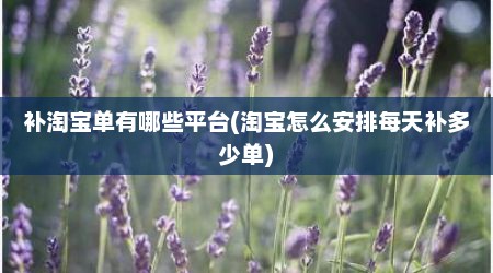 补淘宝单有哪些平台(淘宝怎么安排每天补多少单)