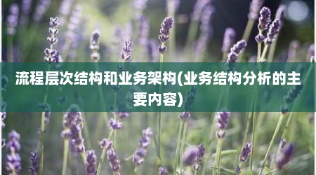 流程层次结构和业务架构(业务结构分析的主要内容)